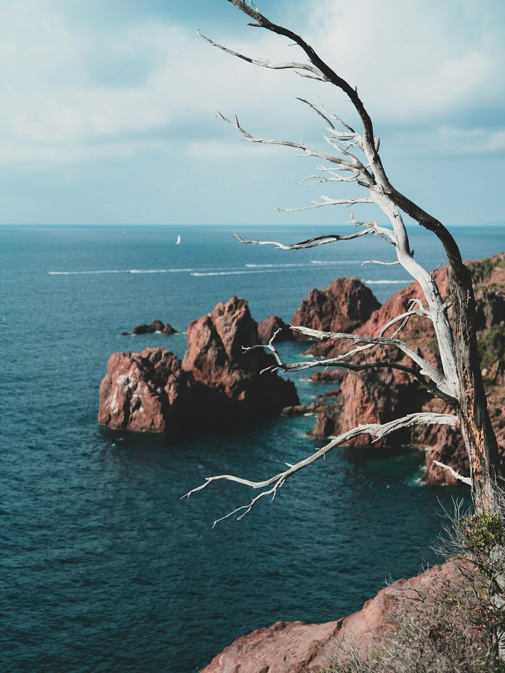 aerial photography of mountain cliff beside seashore during daytime