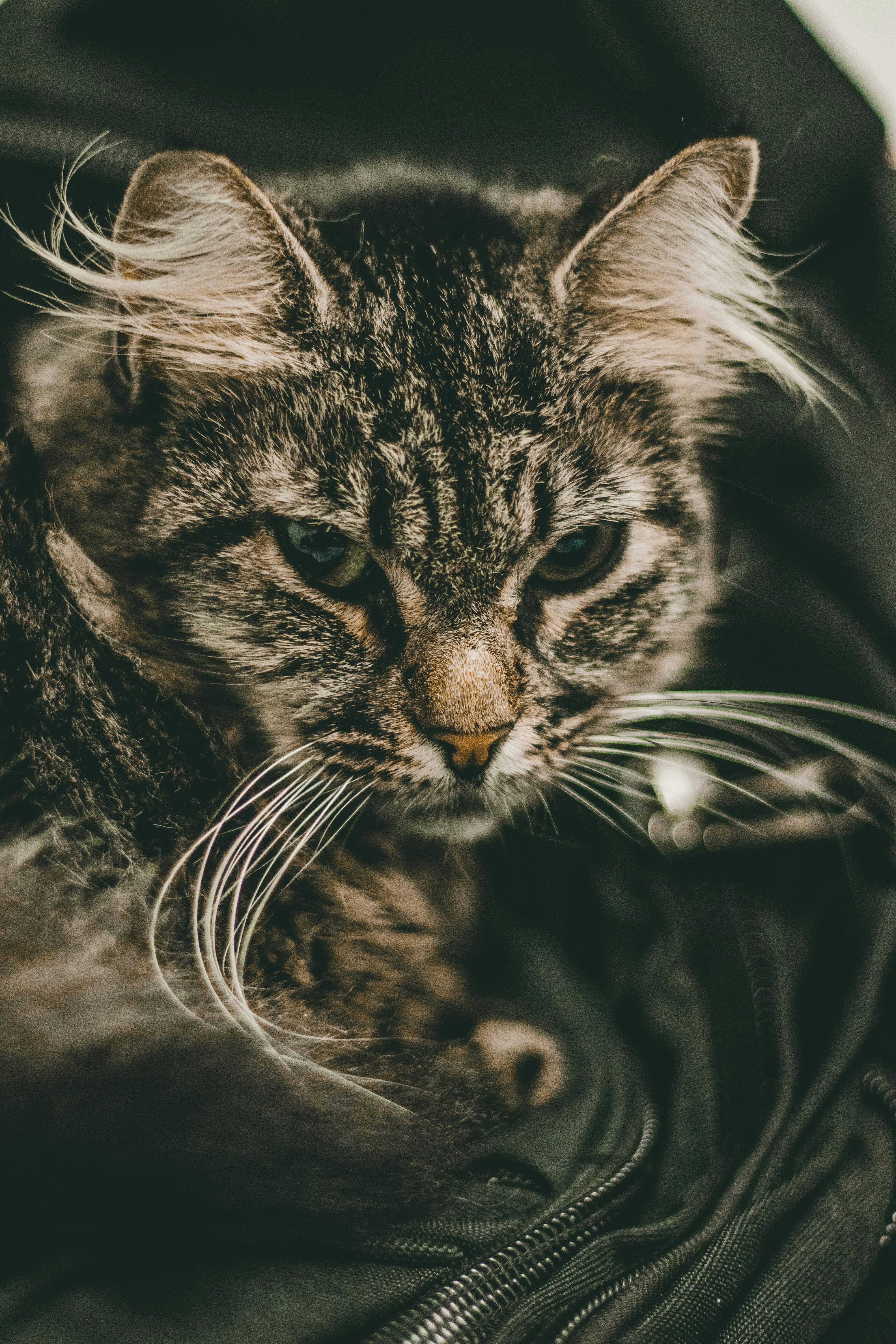 Photo by fraynavarro