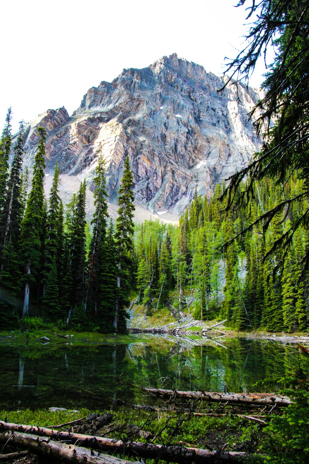 landscape photo of a pond surrounded by trees and a mountain at the background