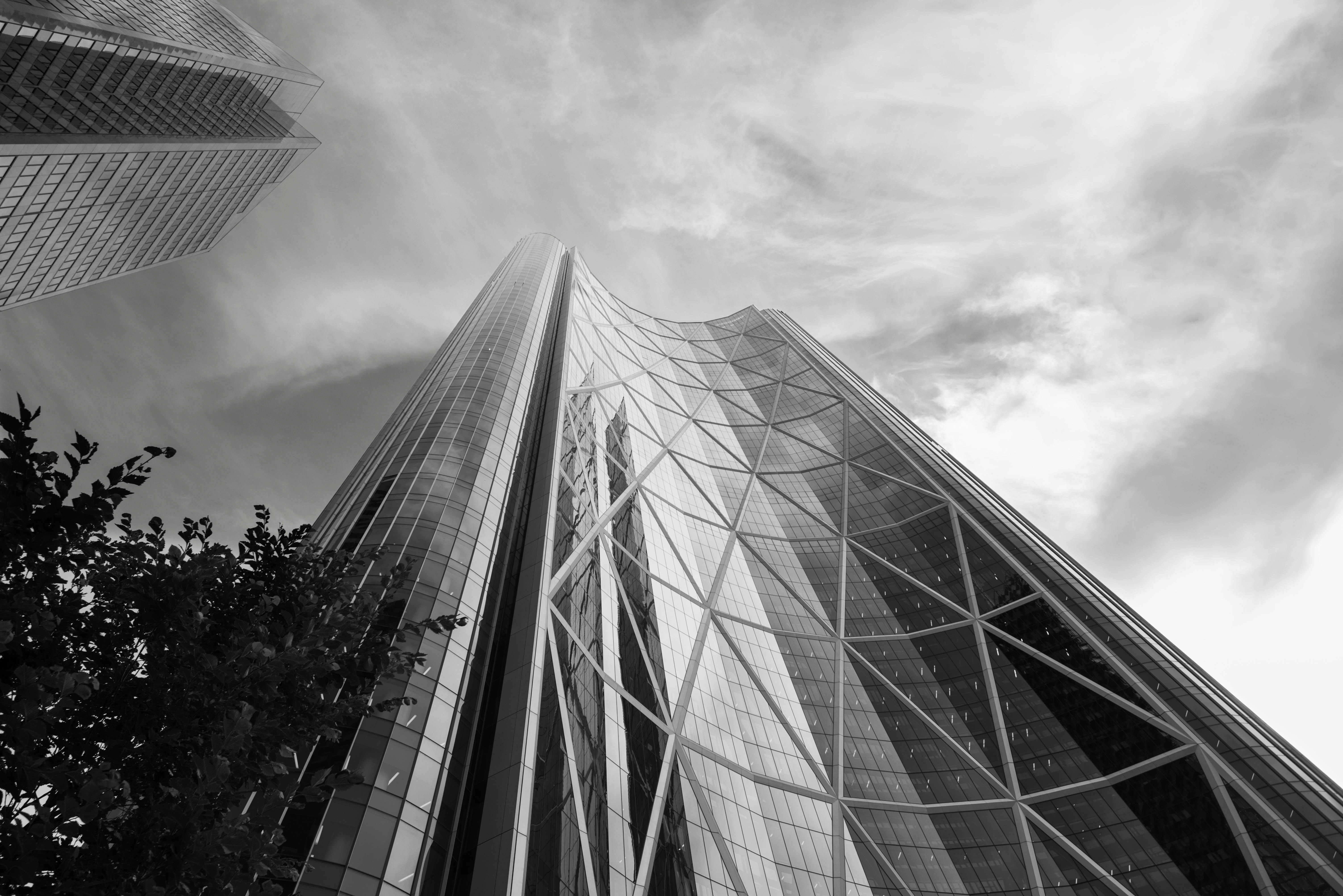 Photo by digitalvilla