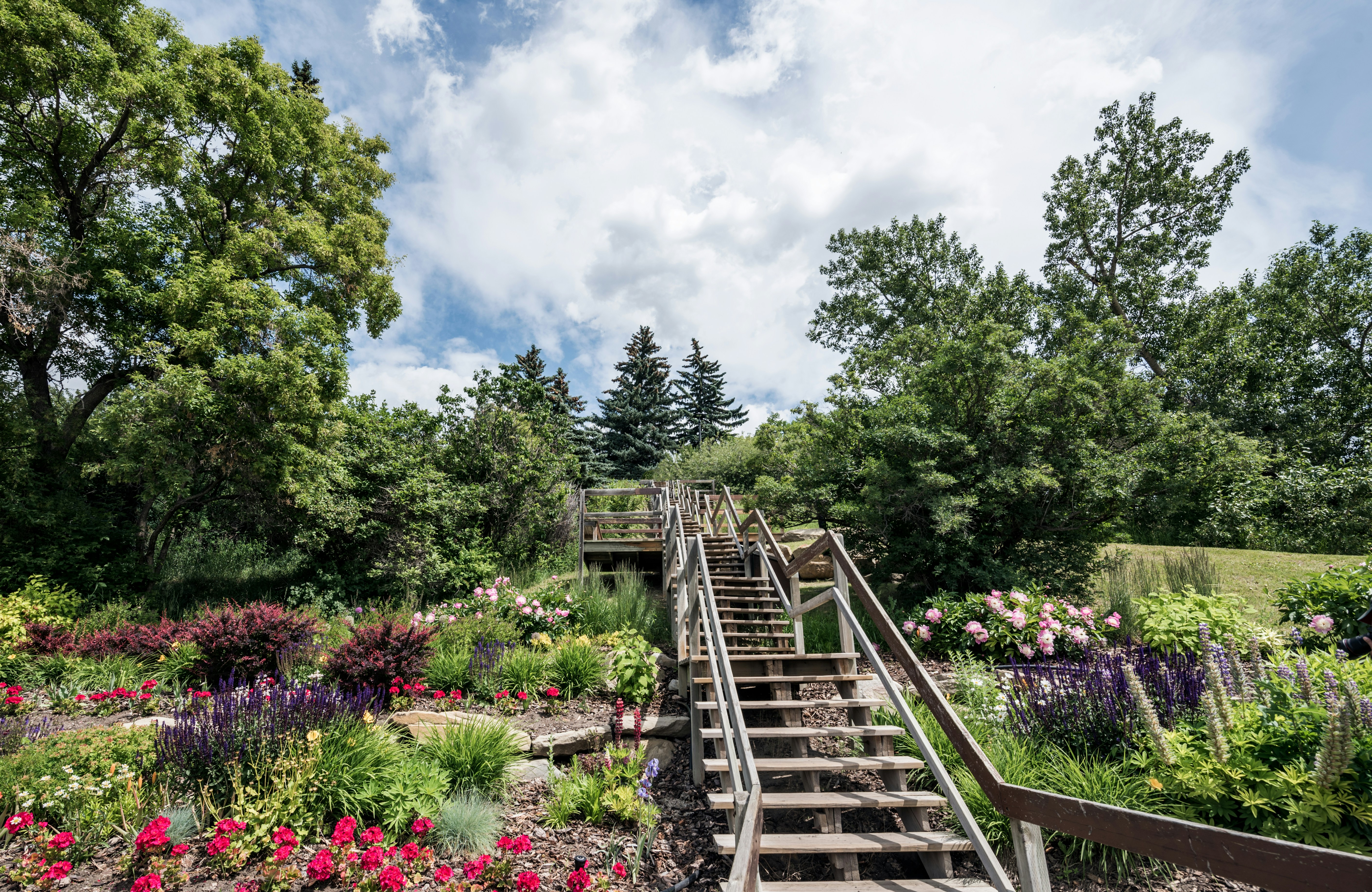 Botanical Garden Trail