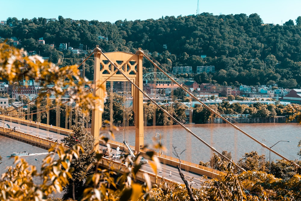 brown bridge on focus photography