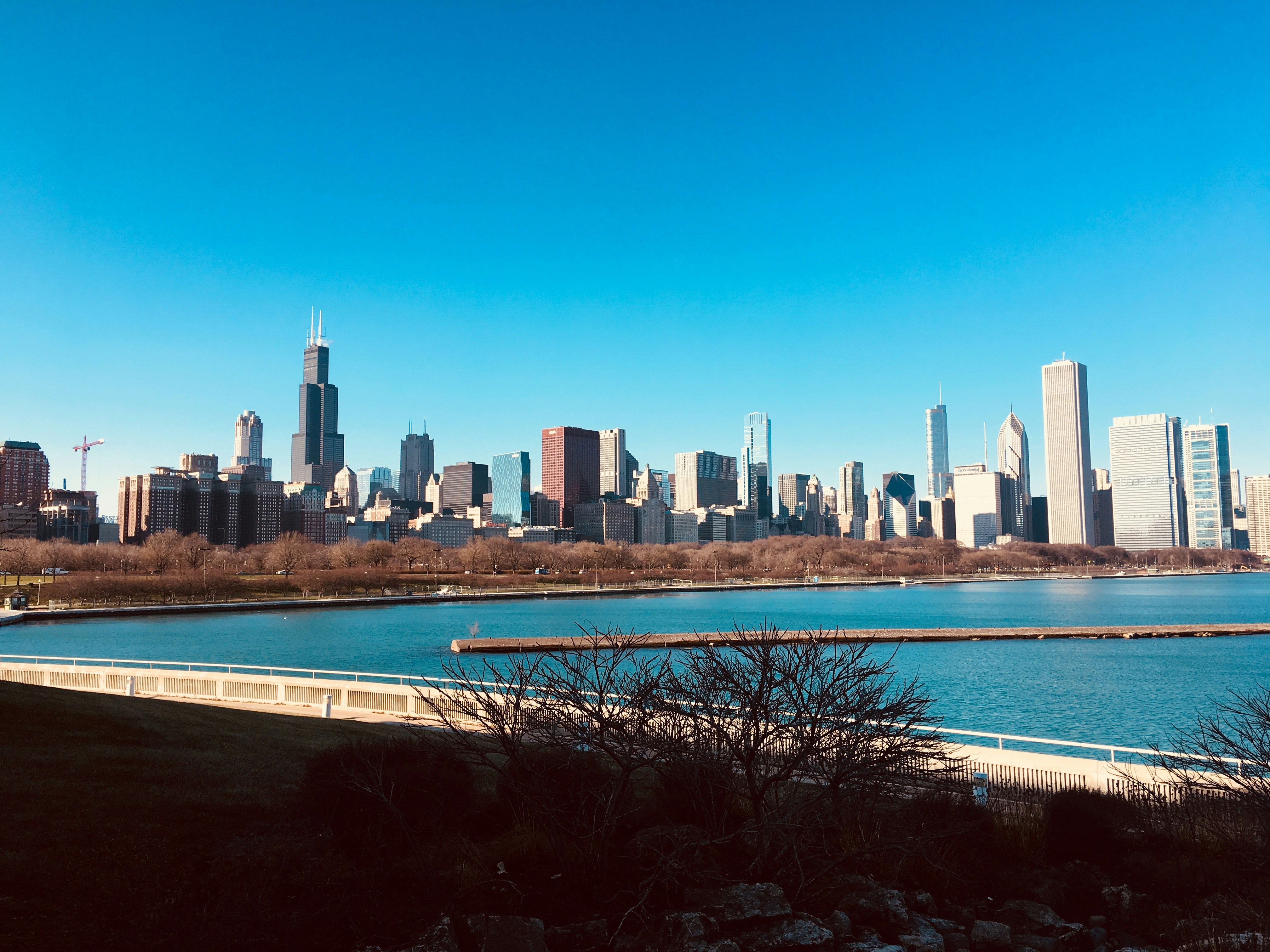 Chicago From Shedd