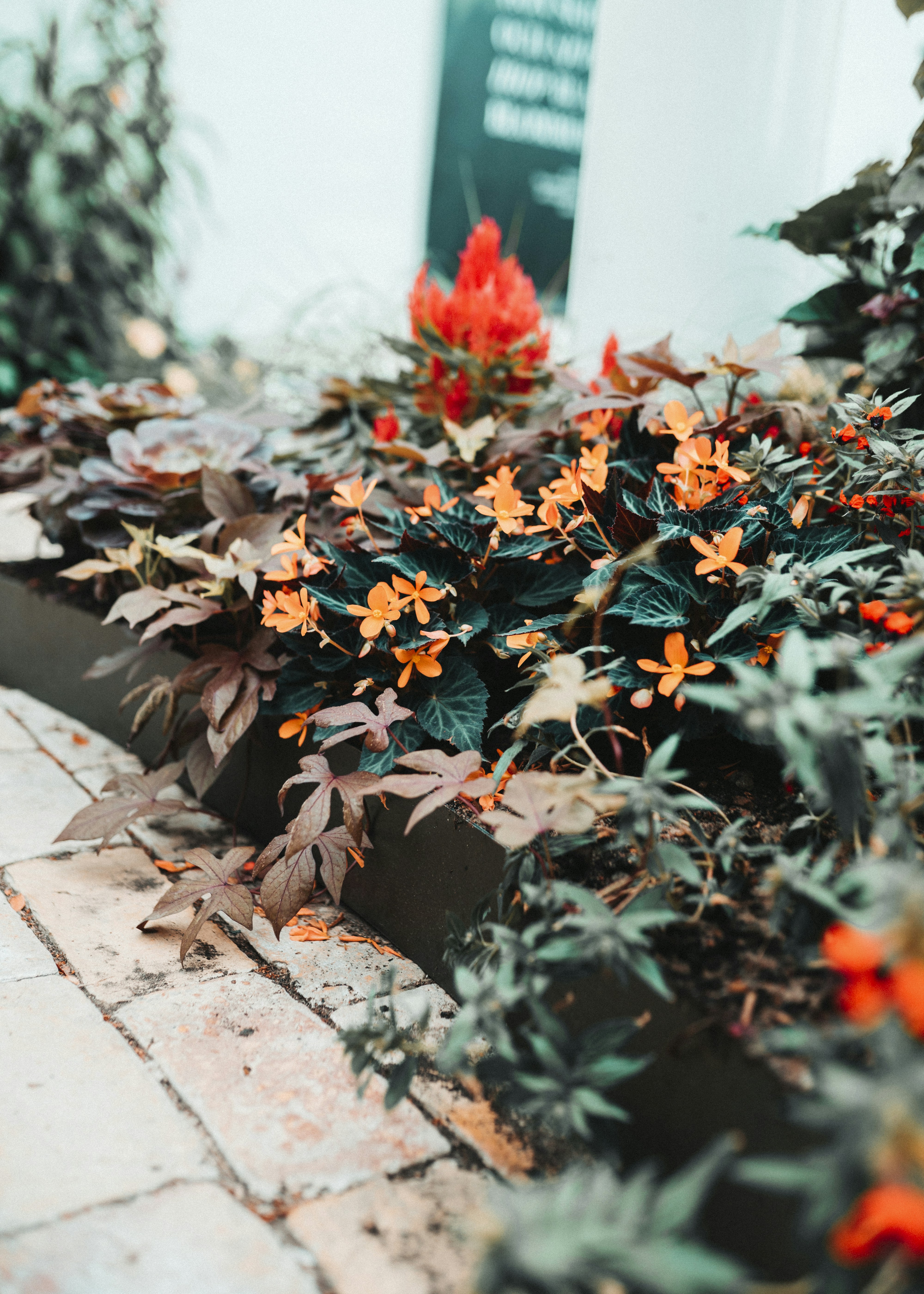 Photo by emilwidlund