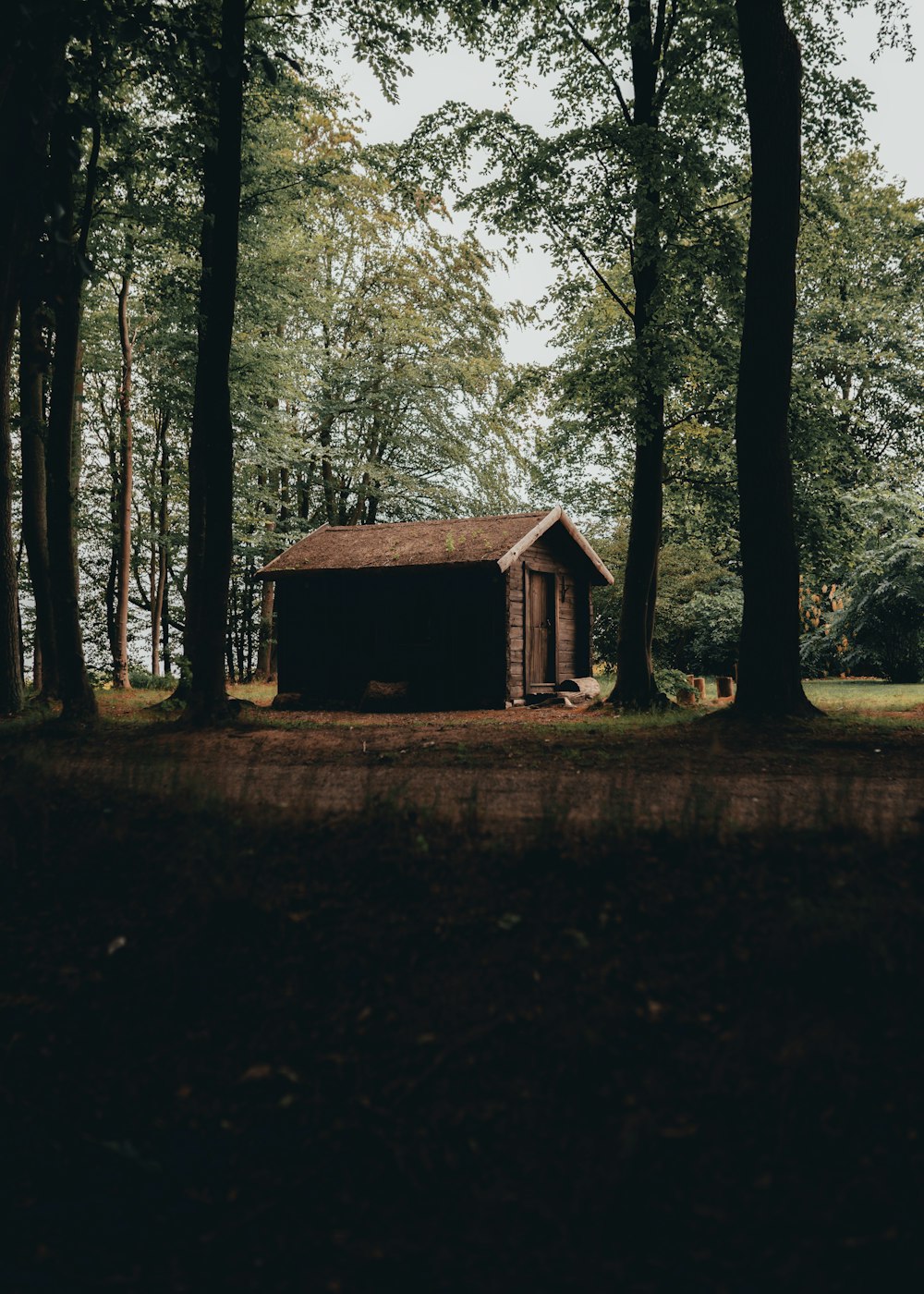 brown wooden shed