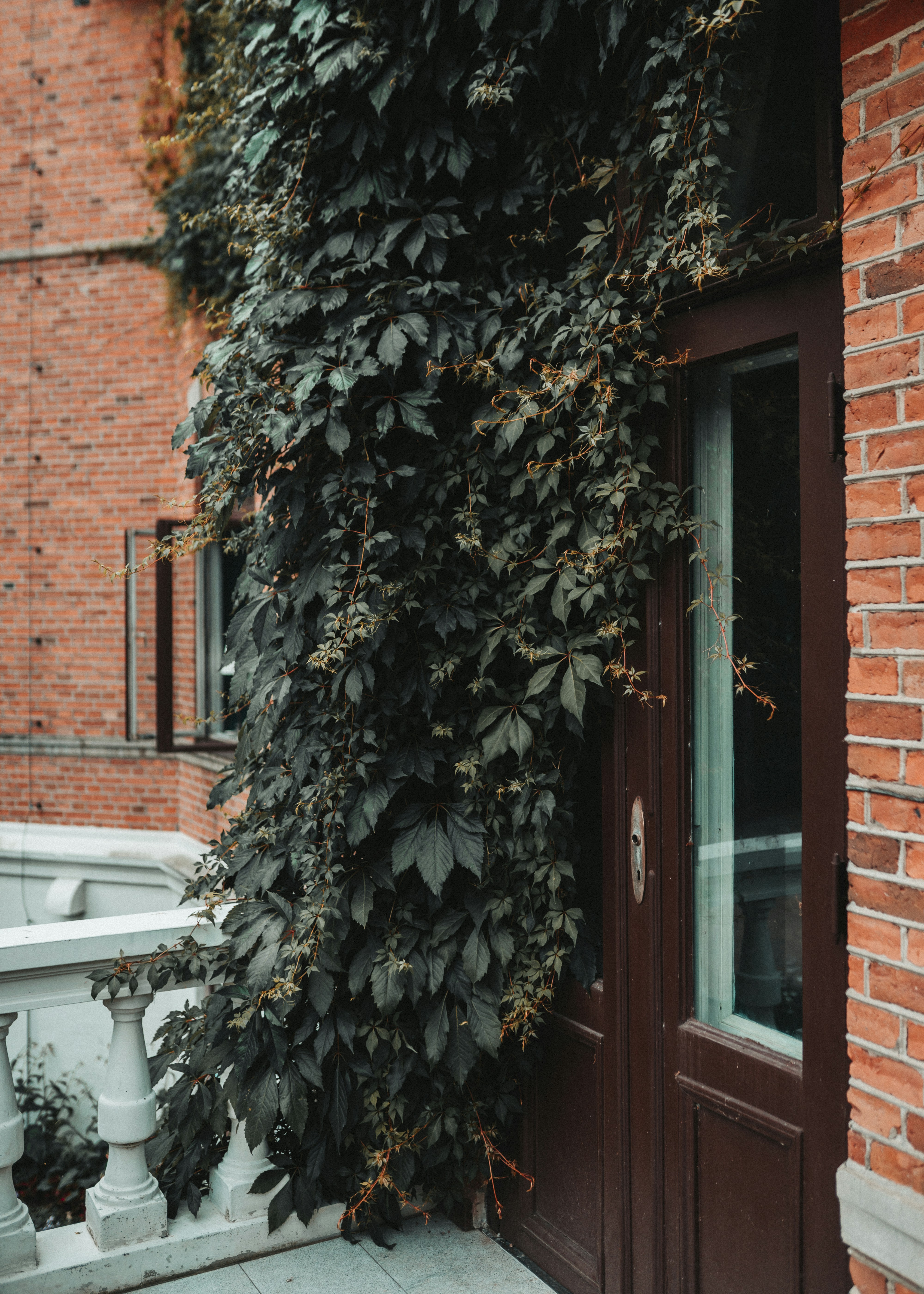 Photo by emilwidlund