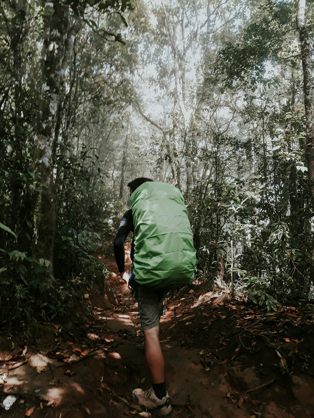 person carrying green hiking bag