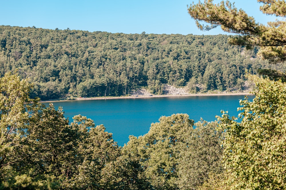 photography of lake surrounded by trees during daytime