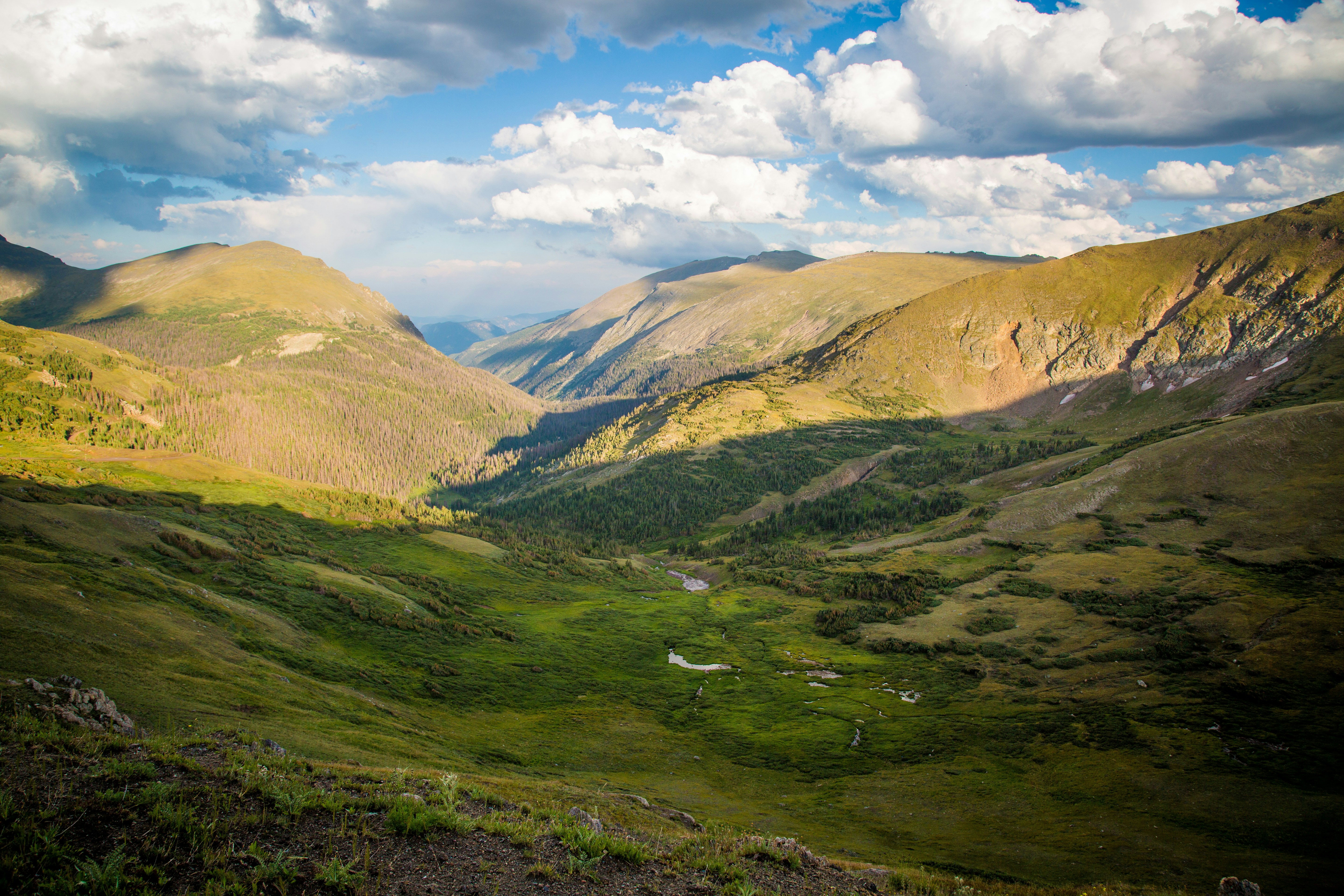 Photo by streuselhaus