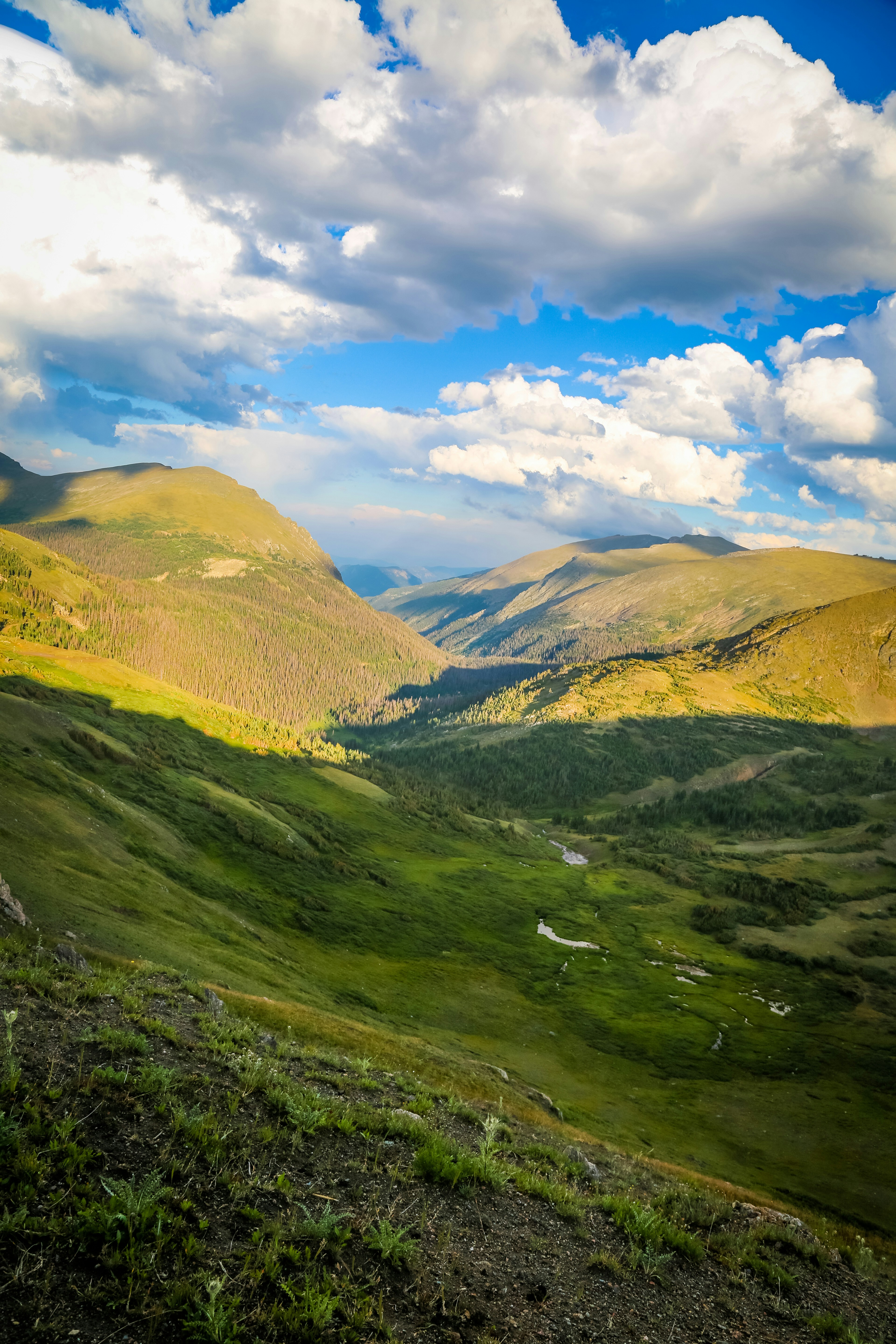 Photo by streuselhaus