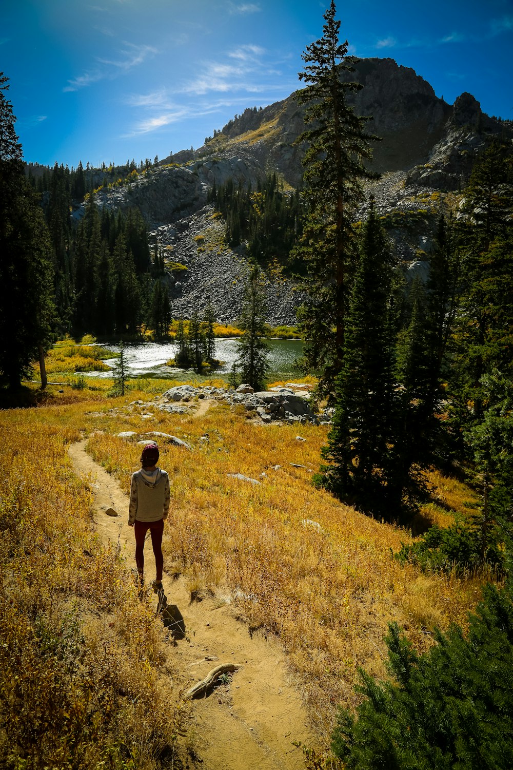 woman walking through river surrounded by trees