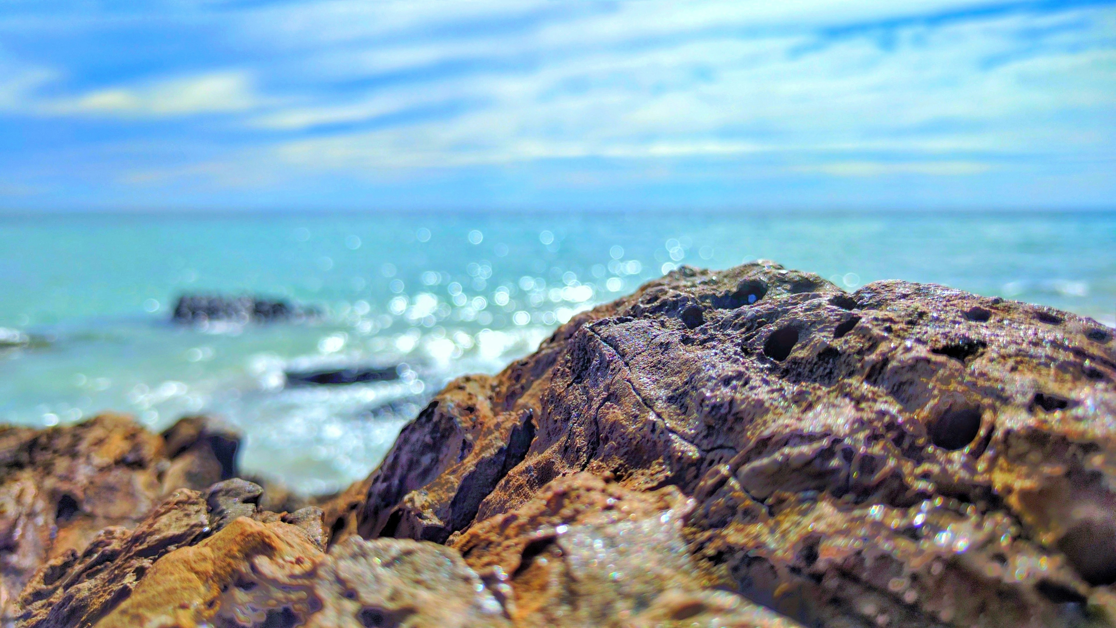 Photo by jeromejiraffe