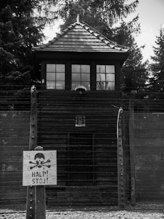 Nazi Almanya Auschwitz