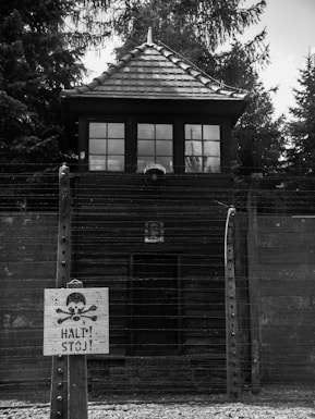 Nazi Almanya Auschwitz