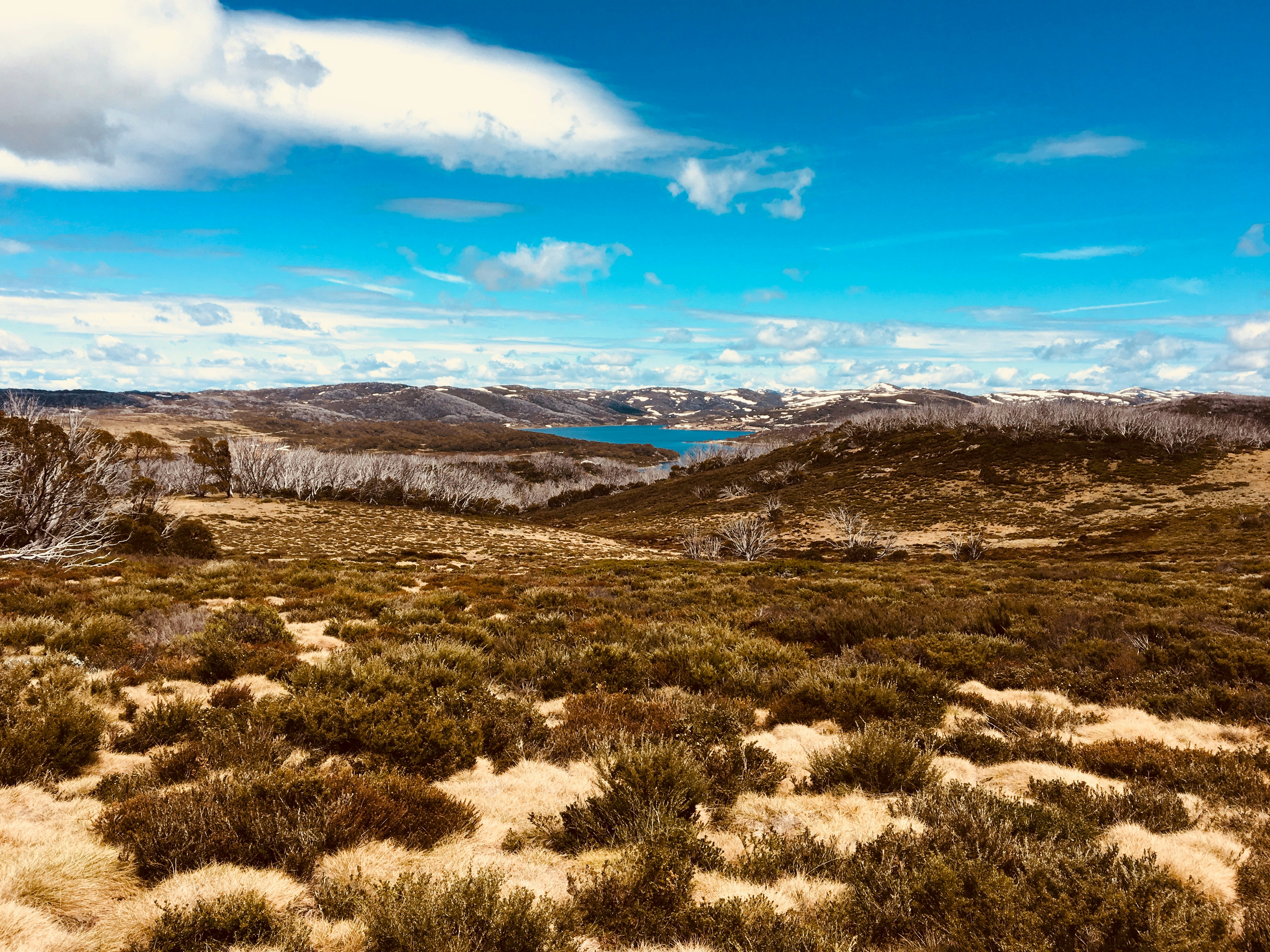 Australian Antarctic Territory, Australia - Hiking through Bogong High Plains, Falls Creek Victoria on a beautiful late spring day. 