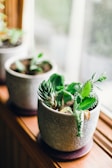 Hand-painted ceramic pots with succulents arranged on a sunlit windowsill.