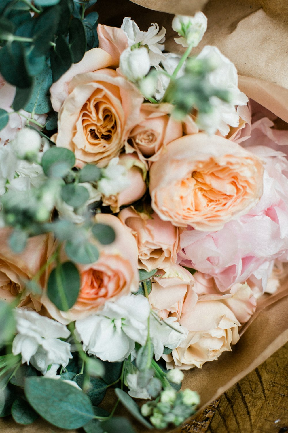 beige and pink petaled flowers