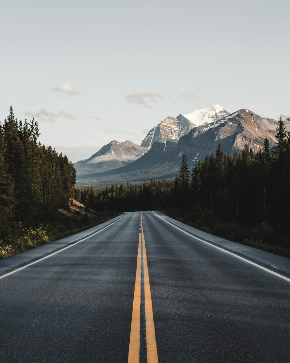 Camino ancho bajo el cielo azul