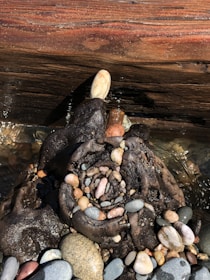 An array of colorful sea glass pieces arranged on driftwood, showcasing the variety of materials found along the coast.