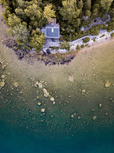 An aerial view of a secluded house nestled among dense greenery at the edge of a body of water. The shoreline is rocky and transitions from earthy tones near the house to a deep blue-green as it meets the water. A path can be seen leading to the house, surrounded by tall trees.