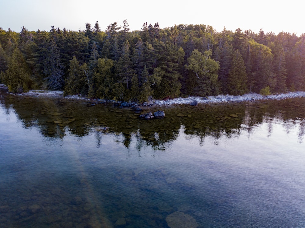 white rocks in lake shore lined with trees