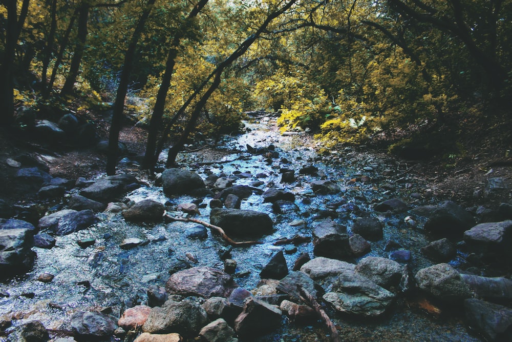 rocks beside body of water close-up photography