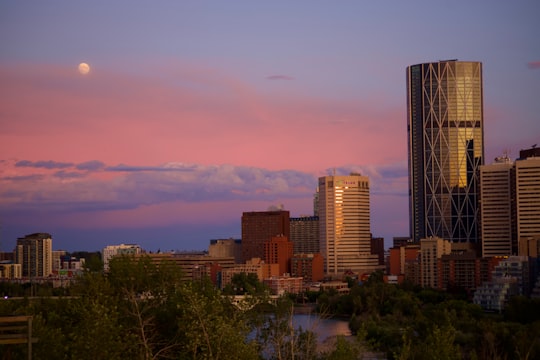 grey high-rise building during golden hour in Downtown Calgary Canada