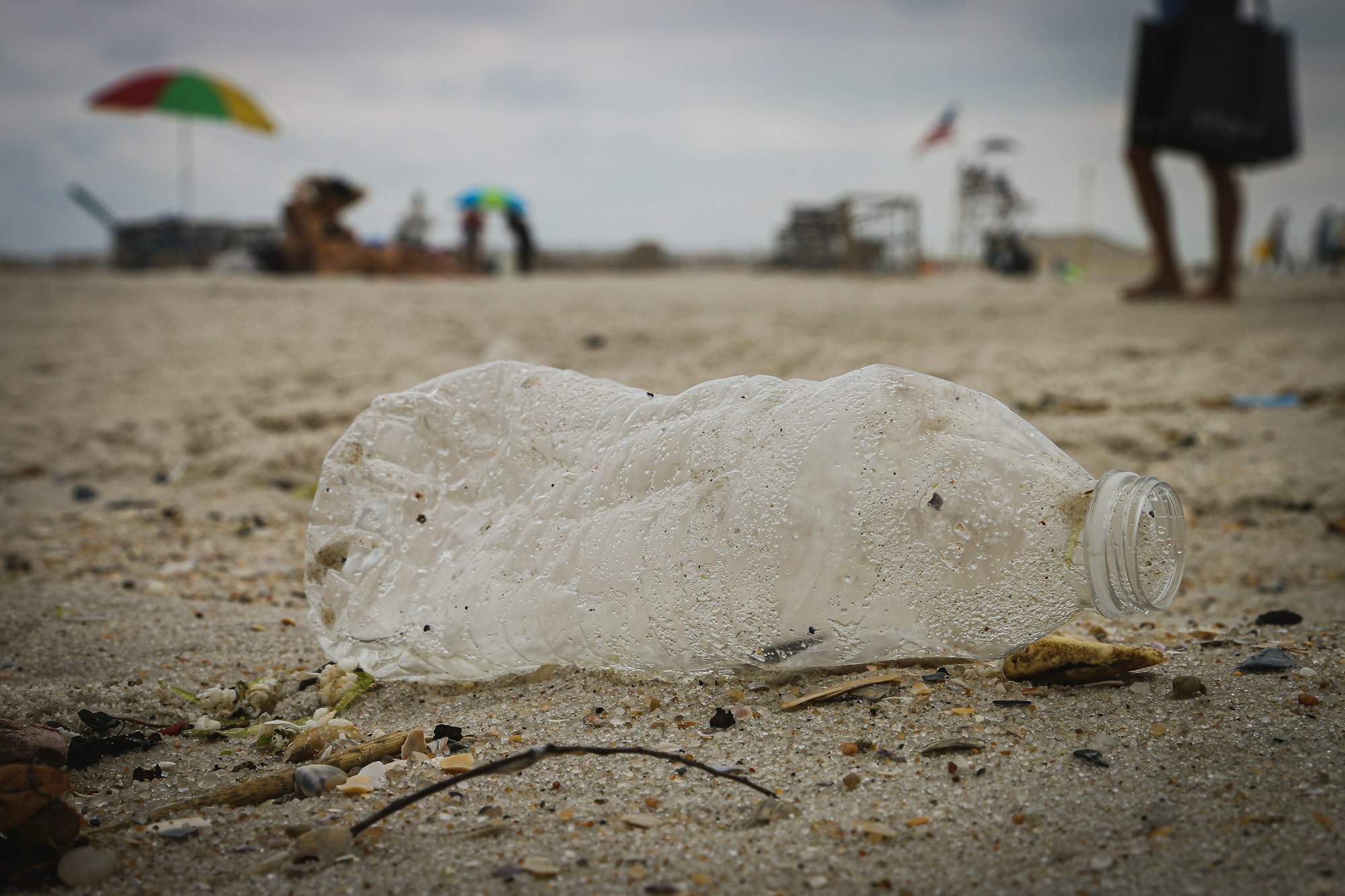 A single-use plastic water bottle recovered during a recent beach cleanup in Jones Beach, NY. YOU can help prevent this by bringing less plastic items to the beach, and opting for re-usable water bottles instead! Save you money, and the ocean! Follow on Instagram @wildlife_by_yuri, and find more free plastic pollution photos at: https://www.wildlifebyyuri.com/free-ocean-photography