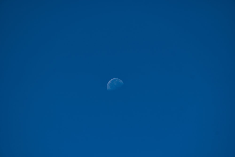 blue moon illustration