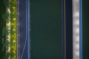 An aerial view of a landscaped area featuring a pathway flanked by trees with illuminated ground lighting. An adjacent road runs parallel, marked with white lines and dotted lights. A modern building with a sleek design is visible, showing a repetitive pattern of windows. The phrase 'ALL FOR ONE' is discernible on the ground.