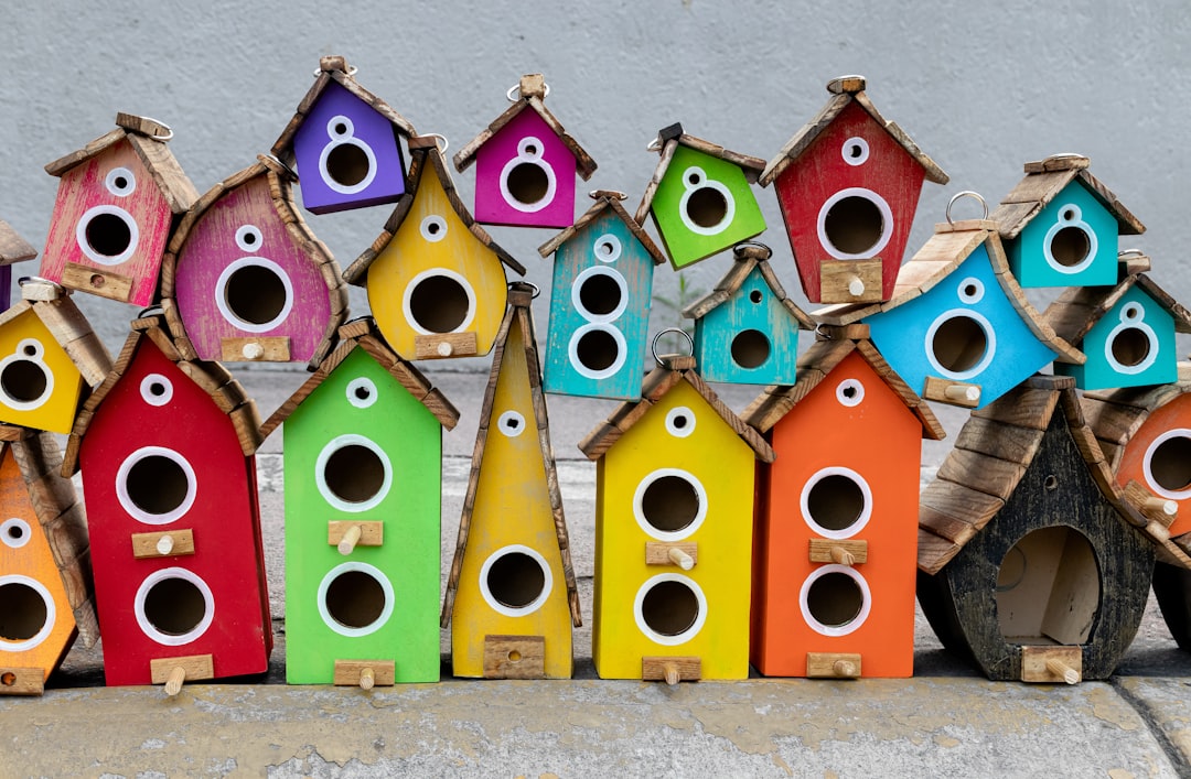 assorted-color wooden birdhouses