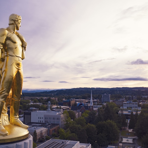 gold-colored statue during daytime