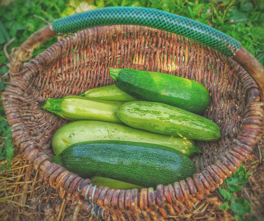 Pepinos verdes na cesta redonda de vime marrom