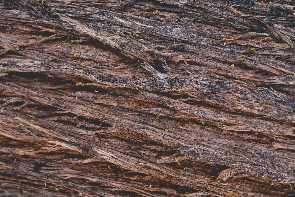 brown wooden surface