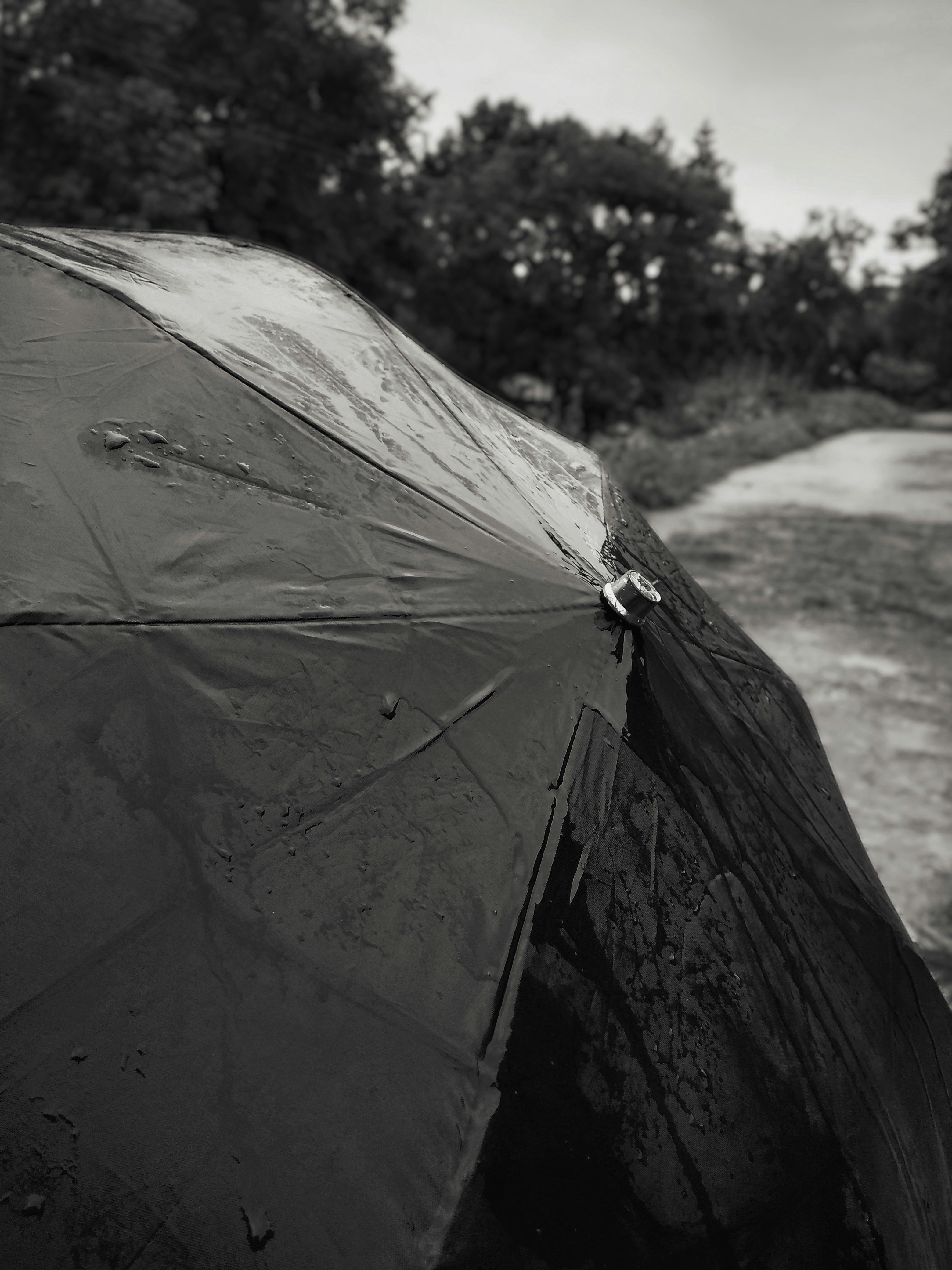 photo-1563253641-21bb131175e8