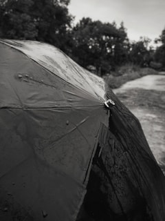 A large, sturdy umbrella with a floral pattern, opened outdoors on a rainy day.