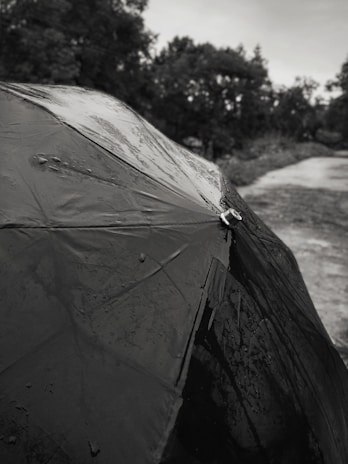 A large, sturdy umbrella with a floral pattern, opened outdoors on a rainy day.