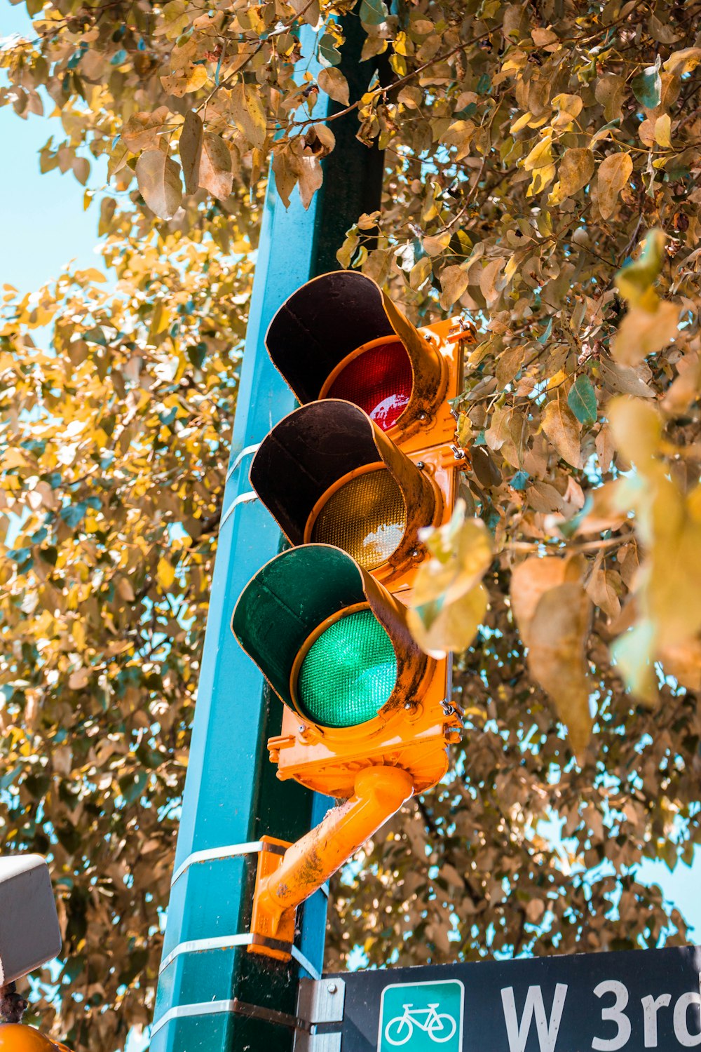 traffic lights beside trees