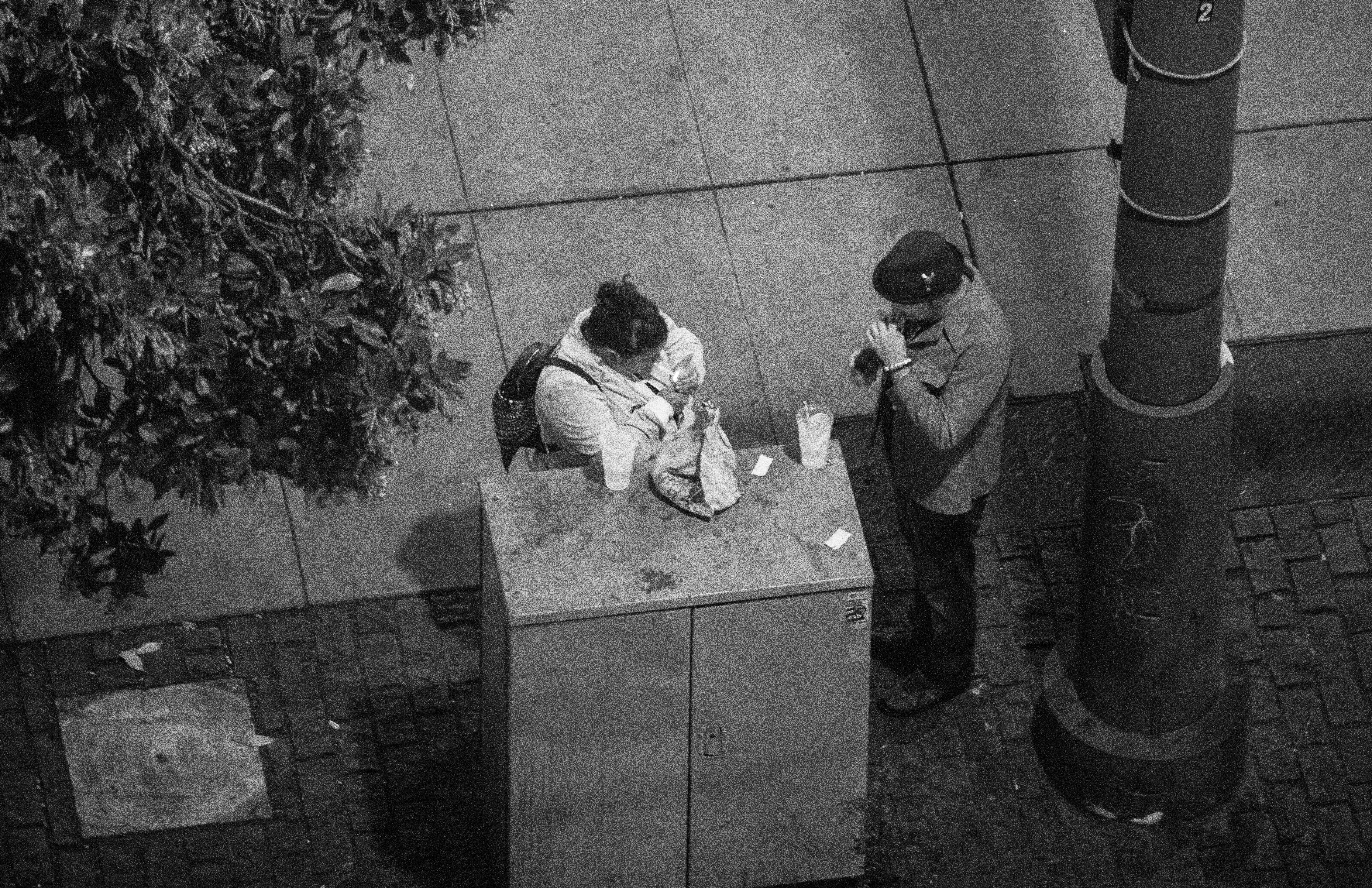 grayscale photo of woman and man standing near tre