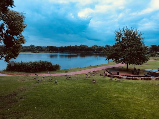 calm body of water near trees during daytime in Johannesburg South Africa