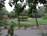 Peaceful school garden area with benches and greenery.