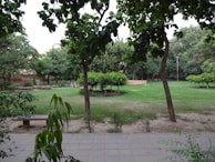 A peaceful park scene with lush green grass and trees, featuring several benches. The area is surrounded by various types of trees and shrubs, creating a serene and natural environment.