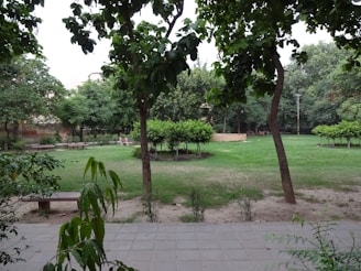 A peaceful park scene with lush green grass and trees, featuring several benches. The area is surrounded by various types of trees and shrubs, creating a serene and natural environment.