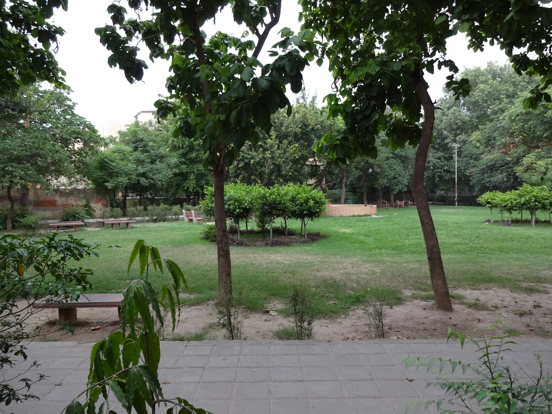 A peaceful park area within São Manoel featuring trees, benches, and players interacting in the Minecraft world.