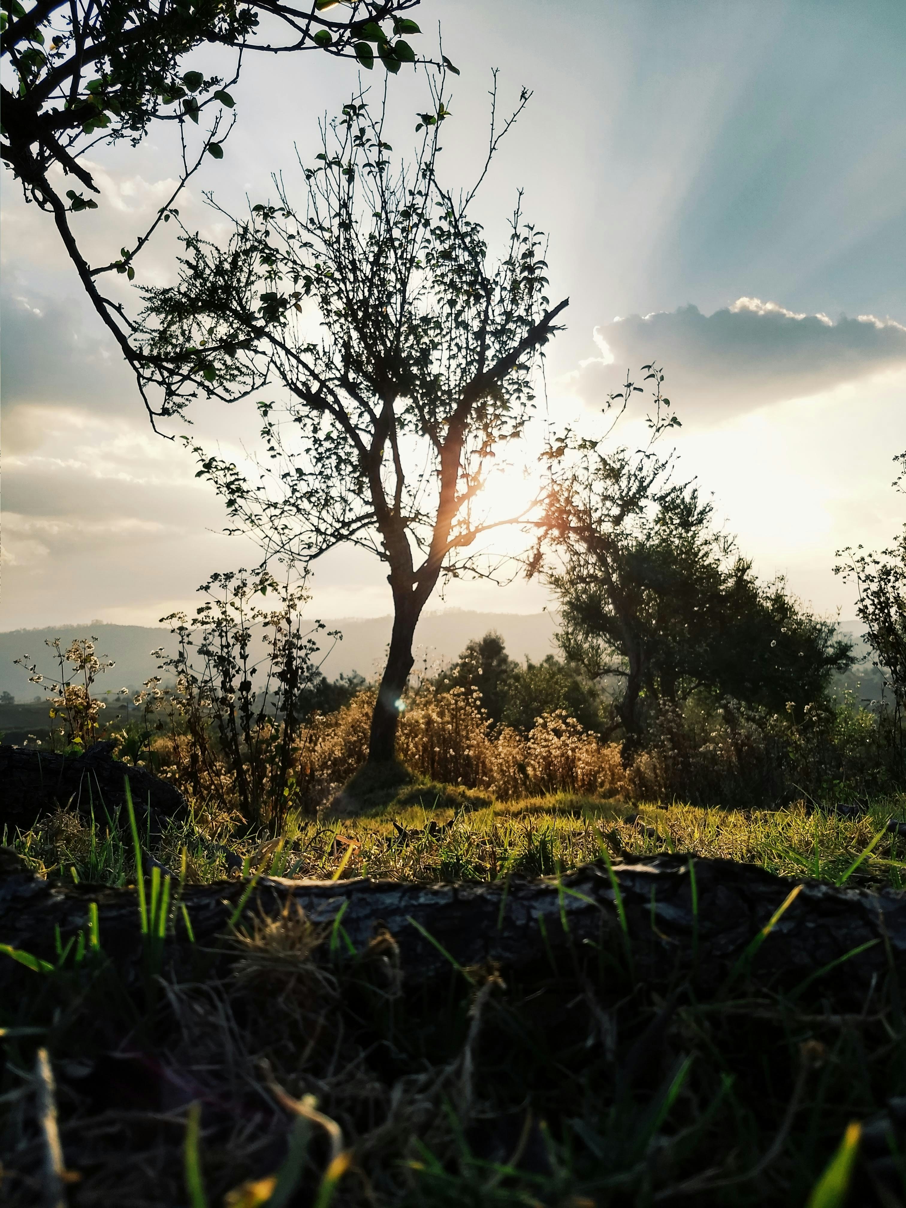 Photo by arvindlakhani