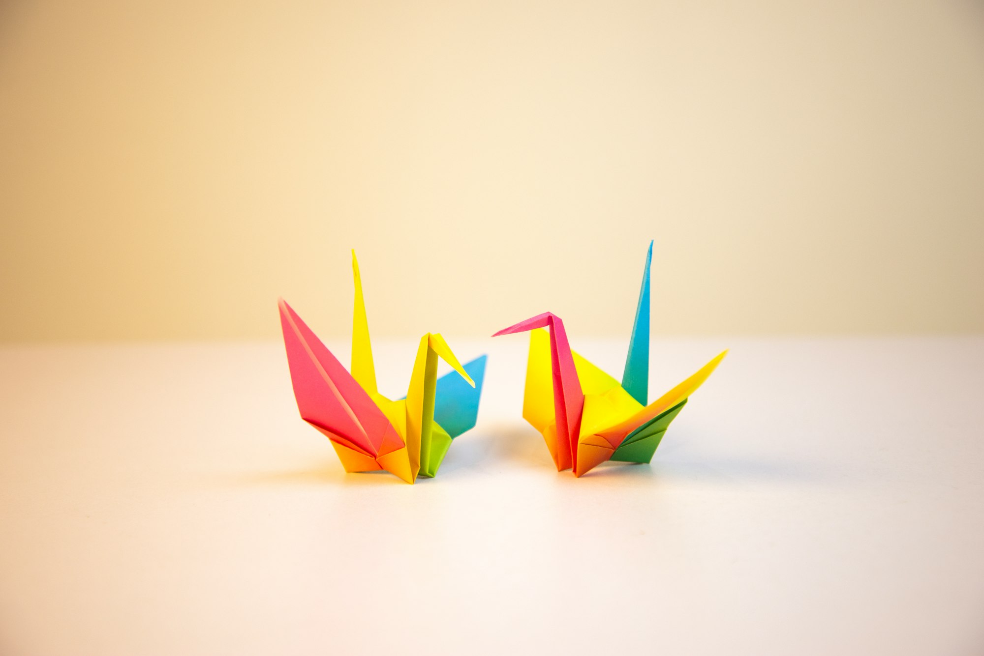 Origami tsuru crane rainbow