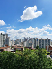 trees in city