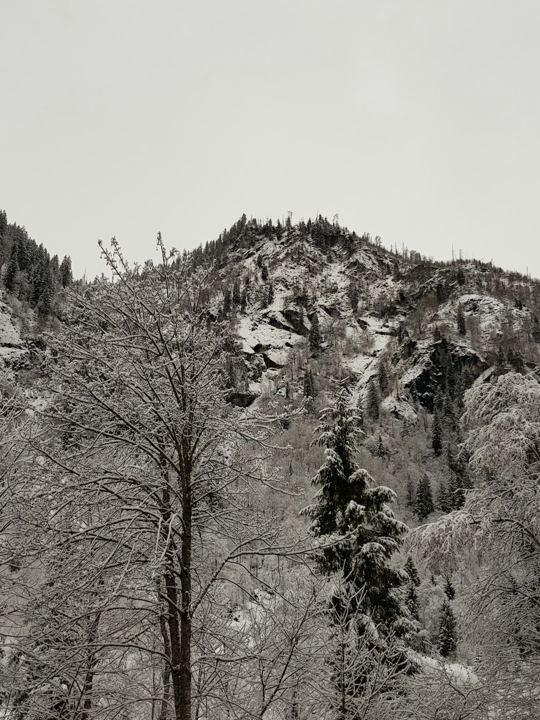 Highland photo spot KesselfallstraÃŸe 81 Kitzbuhel