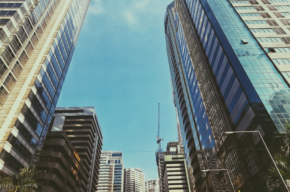 blue and brown high rise buildings