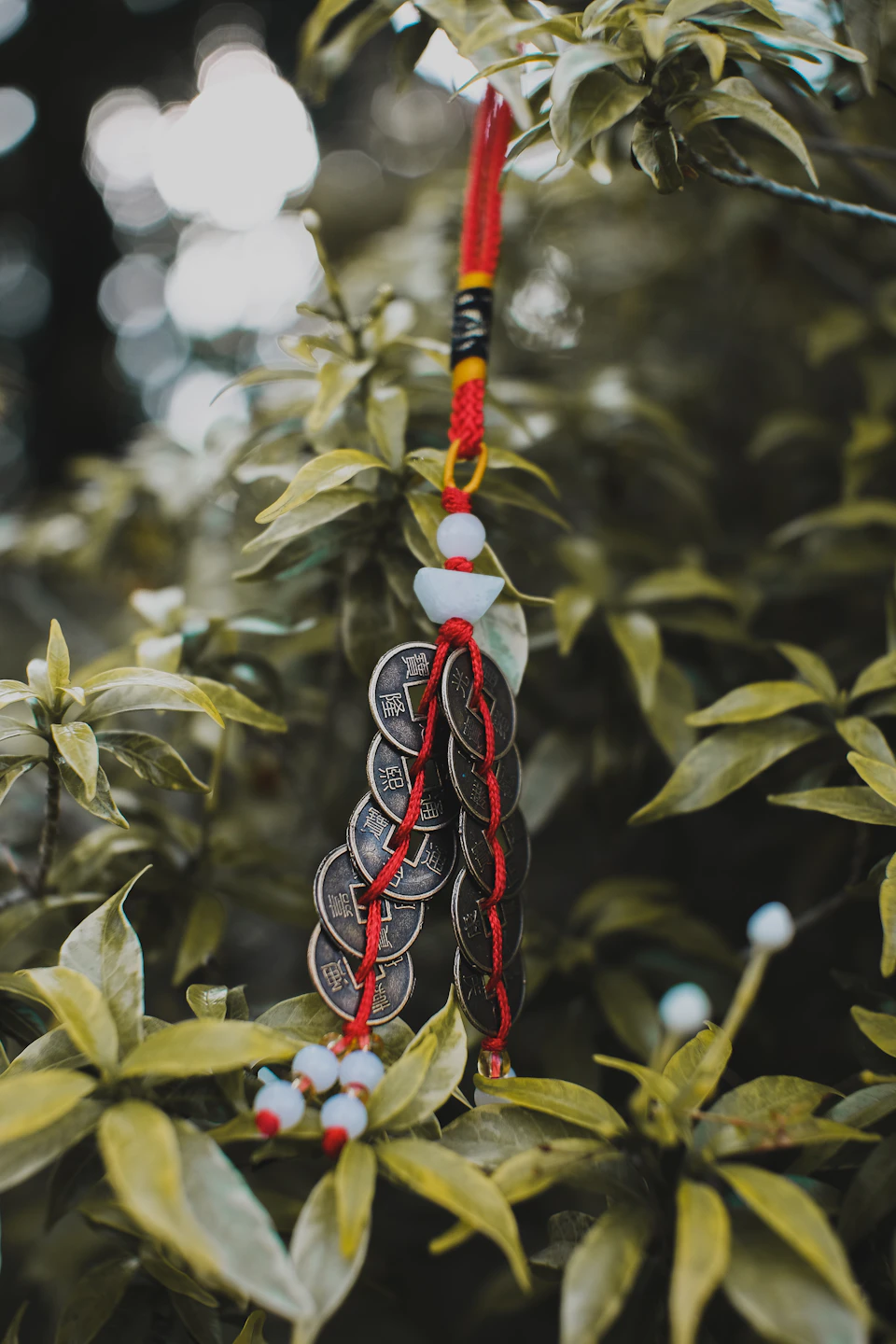 Silver coin charm hangs from a tree branch with red strings and white beads